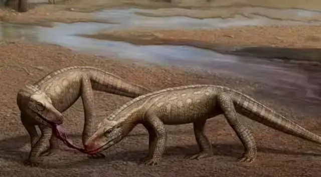 Ahli paleontologi telah menemukan spesies baru reptil purba mirip buaya, yang hidup sekitar 237 juta tahun lalu selama Periode Trias.